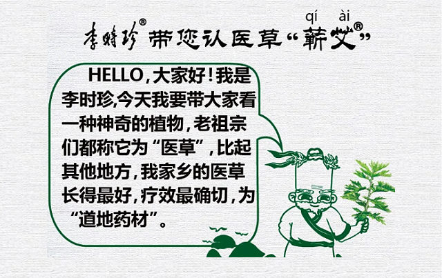 J9带您认医草——蕲艾